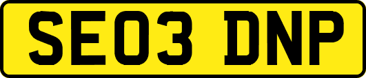 SE03DNP