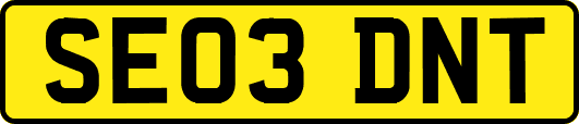 SE03DNT