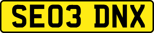 SE03DNX