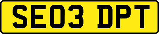 SE03DPT
