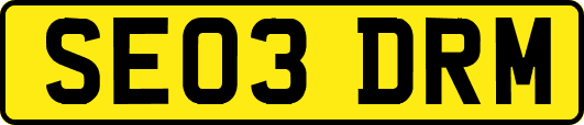 SE03DRM