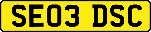 SE03DSC