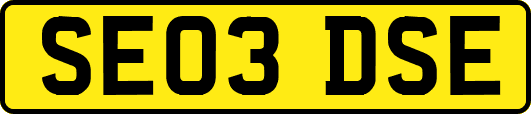 SE03DSE