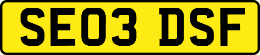 SE03DSF
