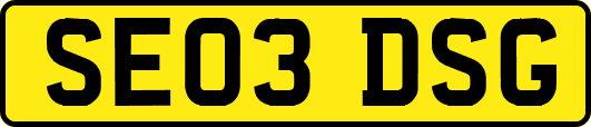 SE03DSG