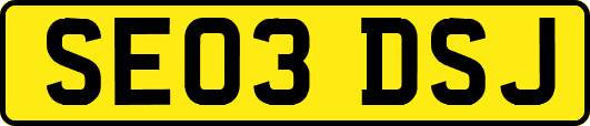 SE03DSJ