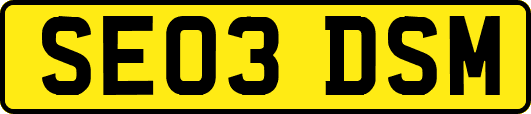 SE03DSM