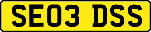 SE03DSS