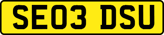 SE03DSU