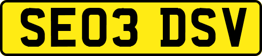 SE03DSV