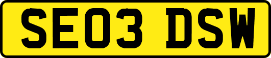 SE03DSW