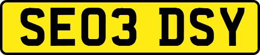 SE03DSY