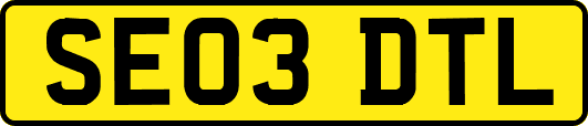 SE03DTL