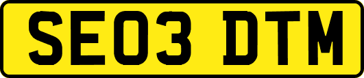 SE03DTM