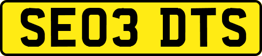 SE03DTS