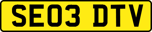 SE03DTV