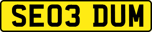 SE03DUM