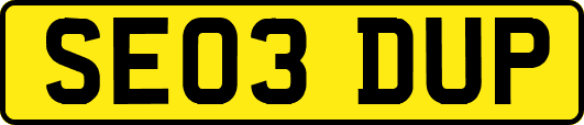 SE03DUP