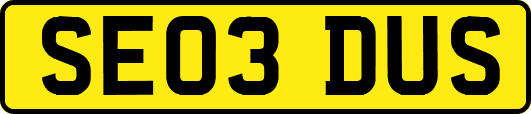 SE03DUS