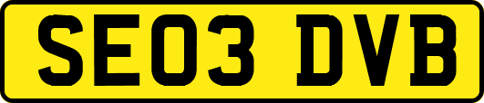 SE03DVB