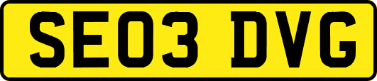SE03DVG