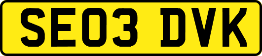 SE03DVK