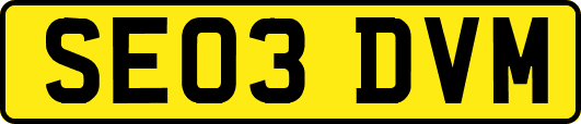 SE03DVM