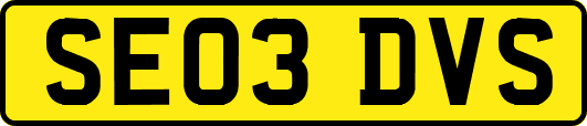 SE03DVS