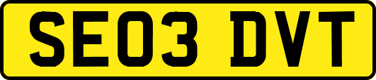 SE03DVT