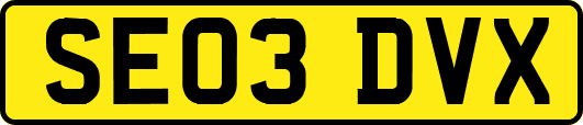 SE03DVX
