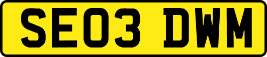 SE03DWM