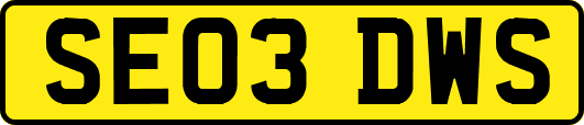 SE03DWS
