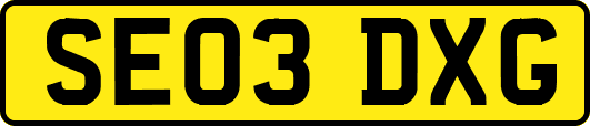 SE03DXG