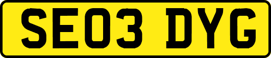 SE03DYG