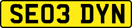 SE03DYN