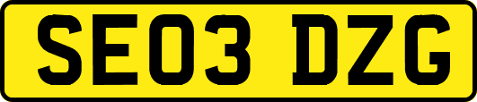 SE03DZG
