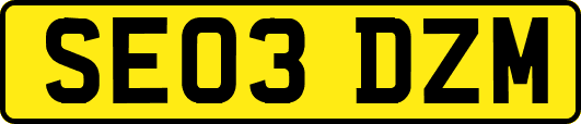 SE03DZM