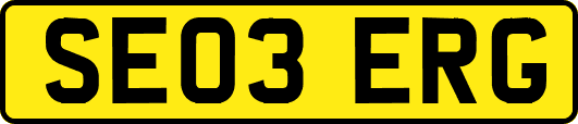 SE03ERG