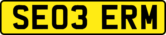 SE03ERM
