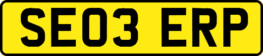 SE03ERP