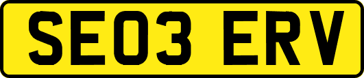 SE03ERV