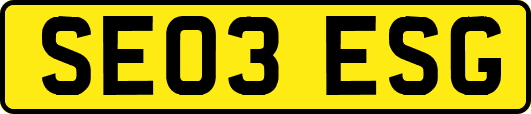 SE03ESG