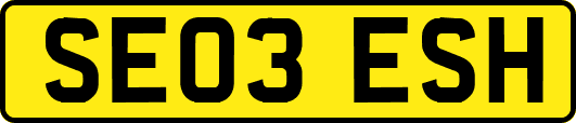 SE03ESH