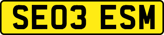 SE03ESM