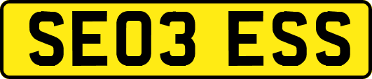 SE03ESS