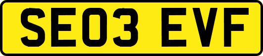 SE03EVF