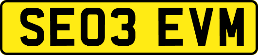 SE03EVM