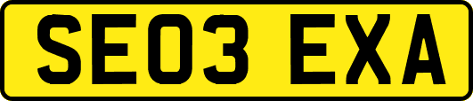 SE03EXA