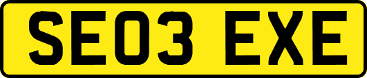 SE03EXE