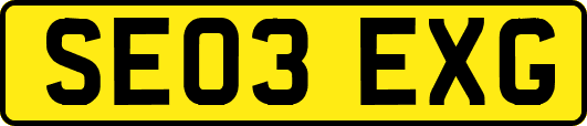 SE03EXG